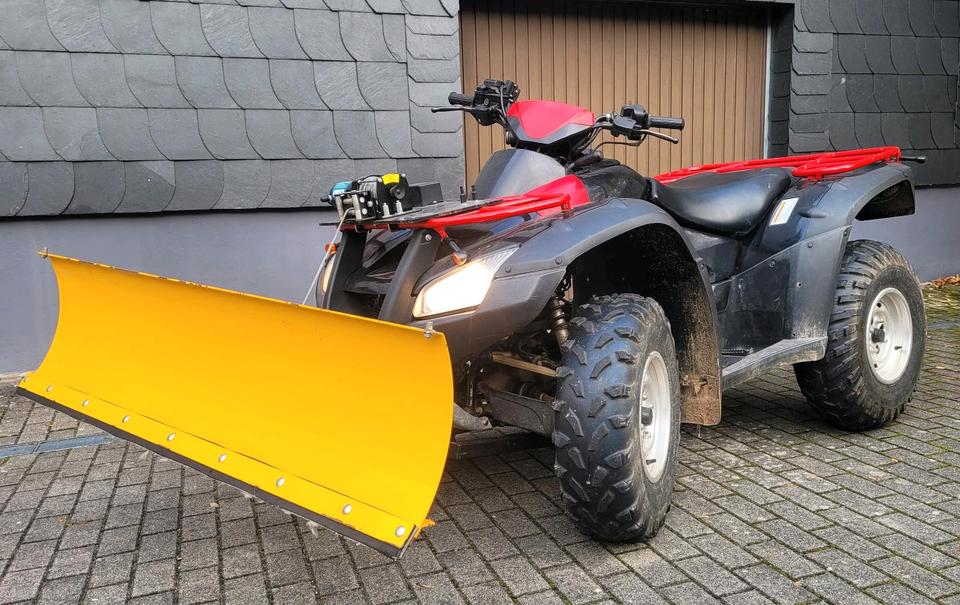 Honda Rincon TRX 650 4x4 Quad, ATV, AHK, Seilwinde, Schiebeschild 2006 — vehicle for AFU Ukraine