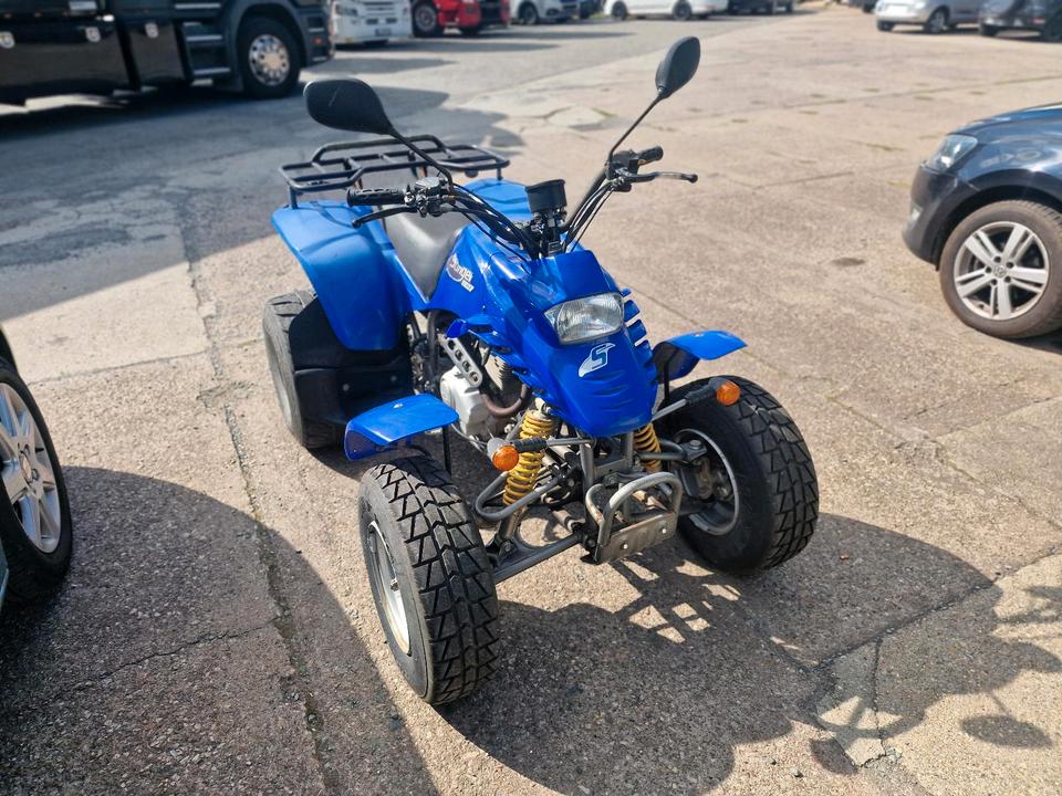 Weitere Motorräder Gelöscht • Quad Stinger 170 2-Sitzer / E-Starter TÜV NEU 2004 — вигляд ззаду