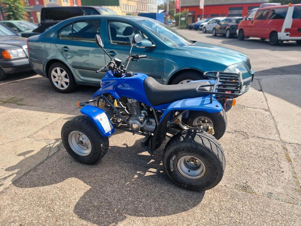 Weitere Motorräder Gelöscht • Quad Stinger 170 2-Sitzer / E-Starter TÜV NEU 2004 — салон