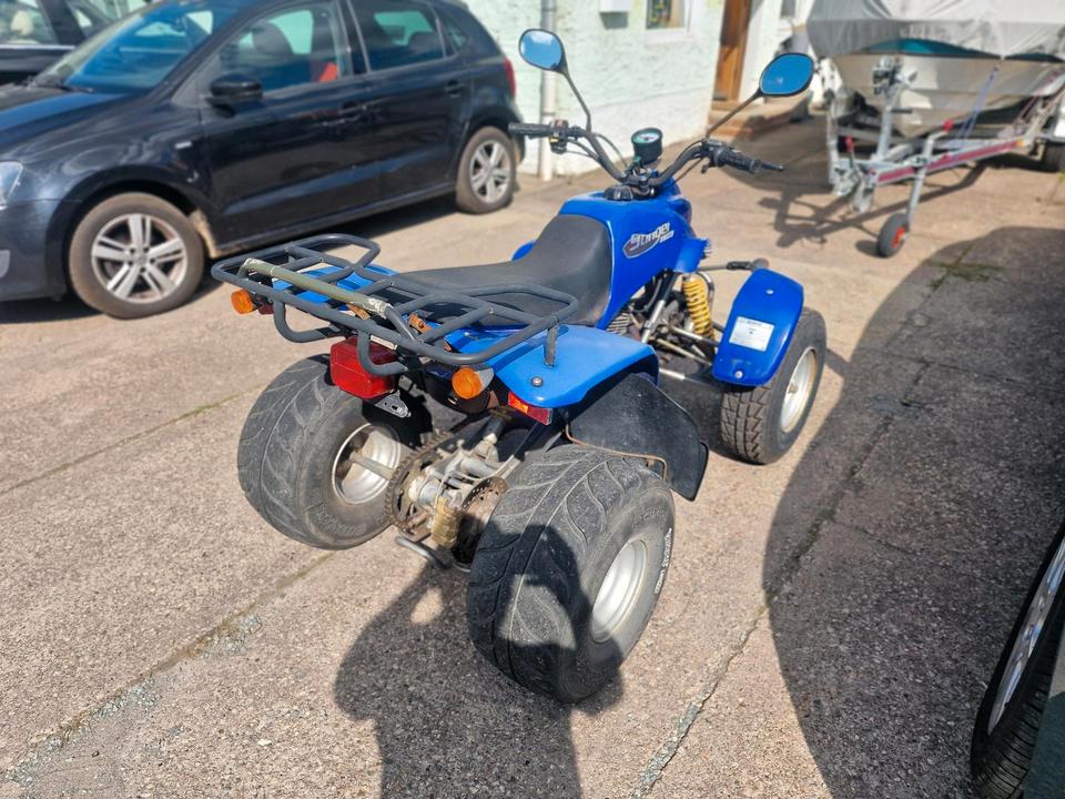 Weitere Motorräder Gelöscht • Quad Stinger 170 2-Sitzer / E-Starter TÜV NEU 2004 — фото 5