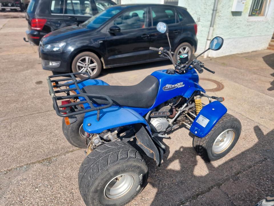 Weitere Motorräder Gelöscht • Quad Stinger 170 2-Sitzer / E-Starter TÜV NEU 2004 — фото 6