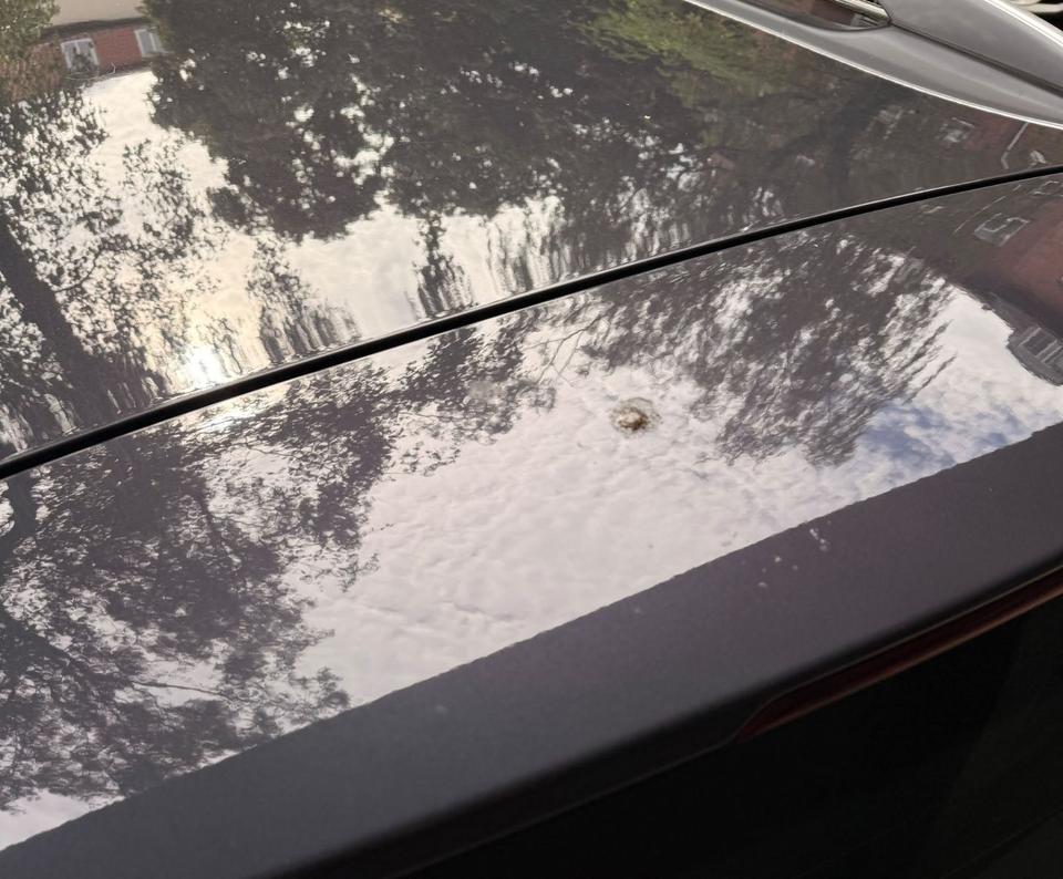 Ford Mondeo 2012 — photo 6
