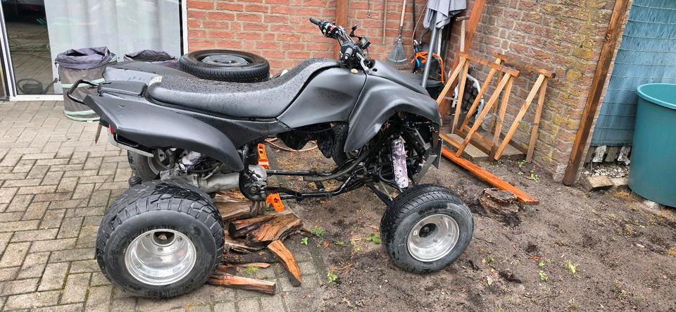 Kawasaki KFX 700 NUR KOMPLETT 2006 — вигляд ззаду