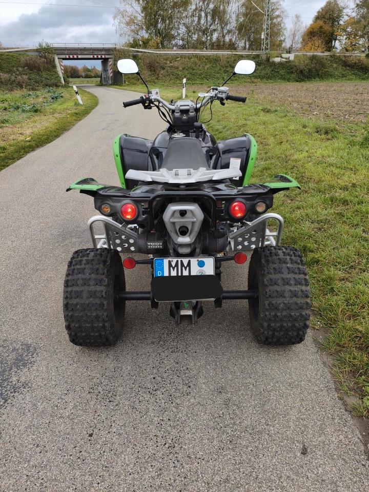 Weitere Motorräder Quad TGB Target 525 mit LOF Zulassung 2009 — вигляд ззаду