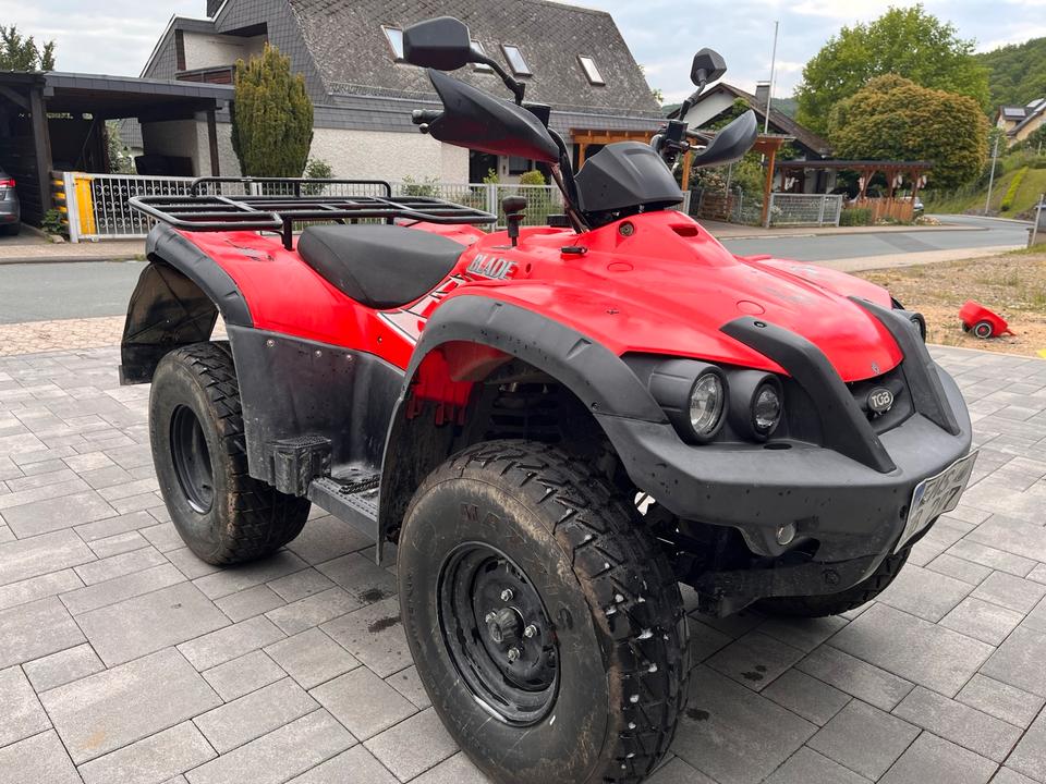 Weitere Motorräder Quad TGB Blade 425 2009 — rear view