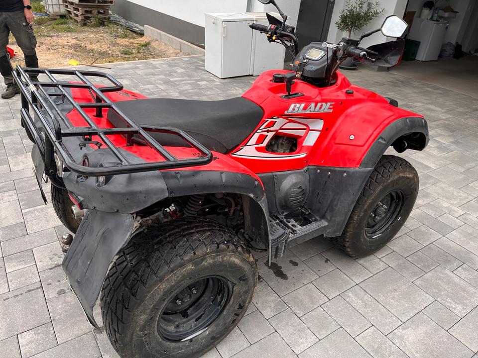 Weitere Motorräder Quad TGB Blade 425 2009 — photo 5