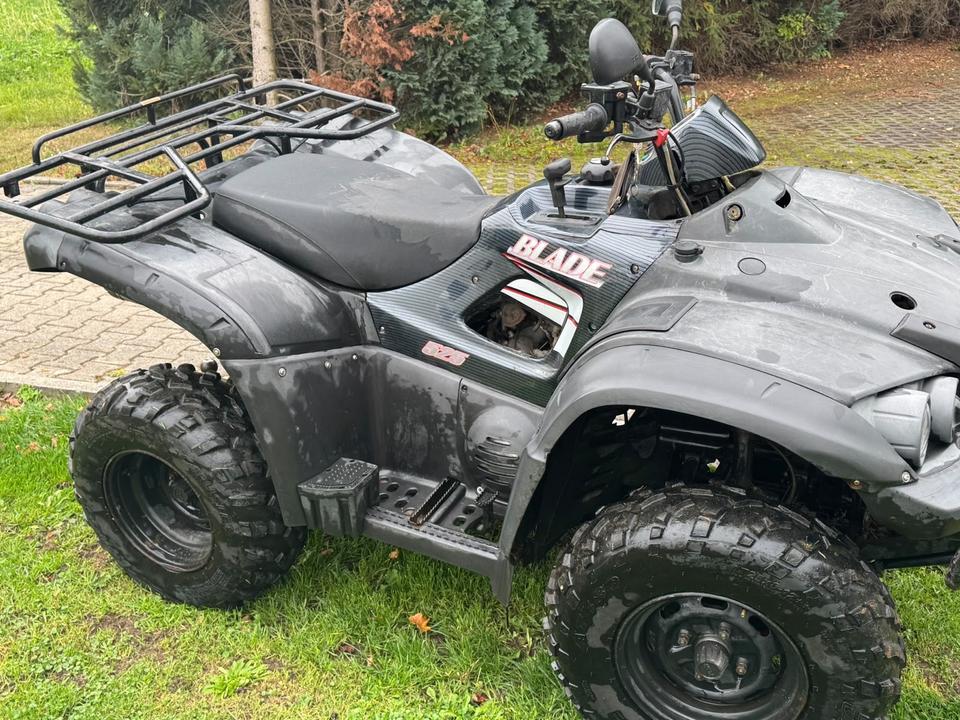  Quad Blade 525 4x2 2010 — engine 503 ccm
