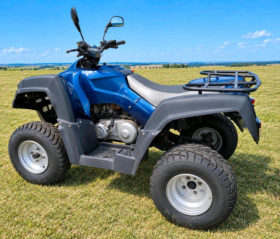 Hercules Canyon Adly 320 300 ATV Quad TÜV 05/28 Herkules 2007 — vehicle for AFU Ukraine