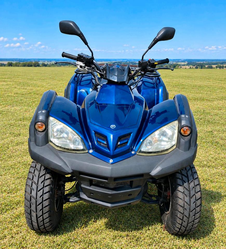  Hercules Canyon Adly 320 300 ATV Quad TÜV 05/28 Herkules 2007 — rear view