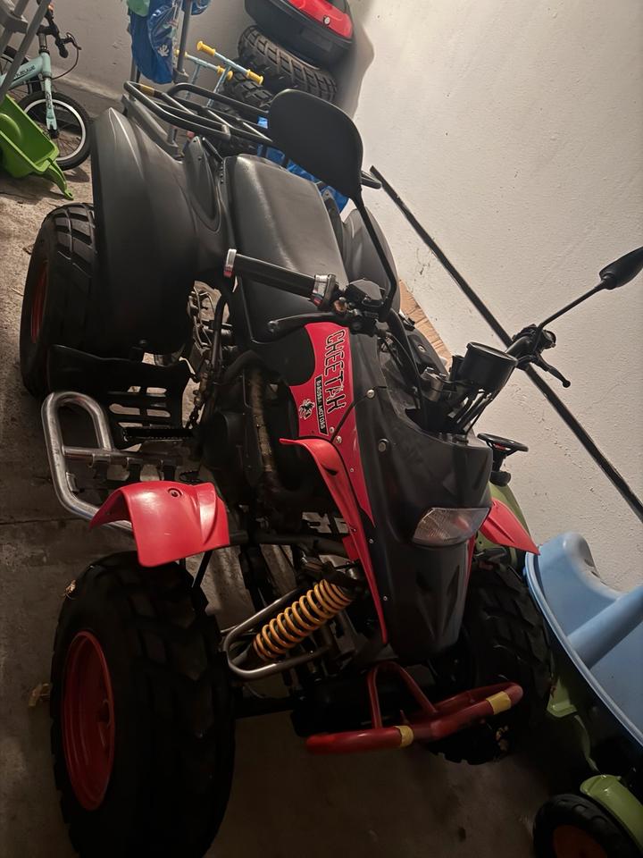 Weitere Motorräder Gelöscht • Quad barossa 250ccm 2006 — вигляд ззаду