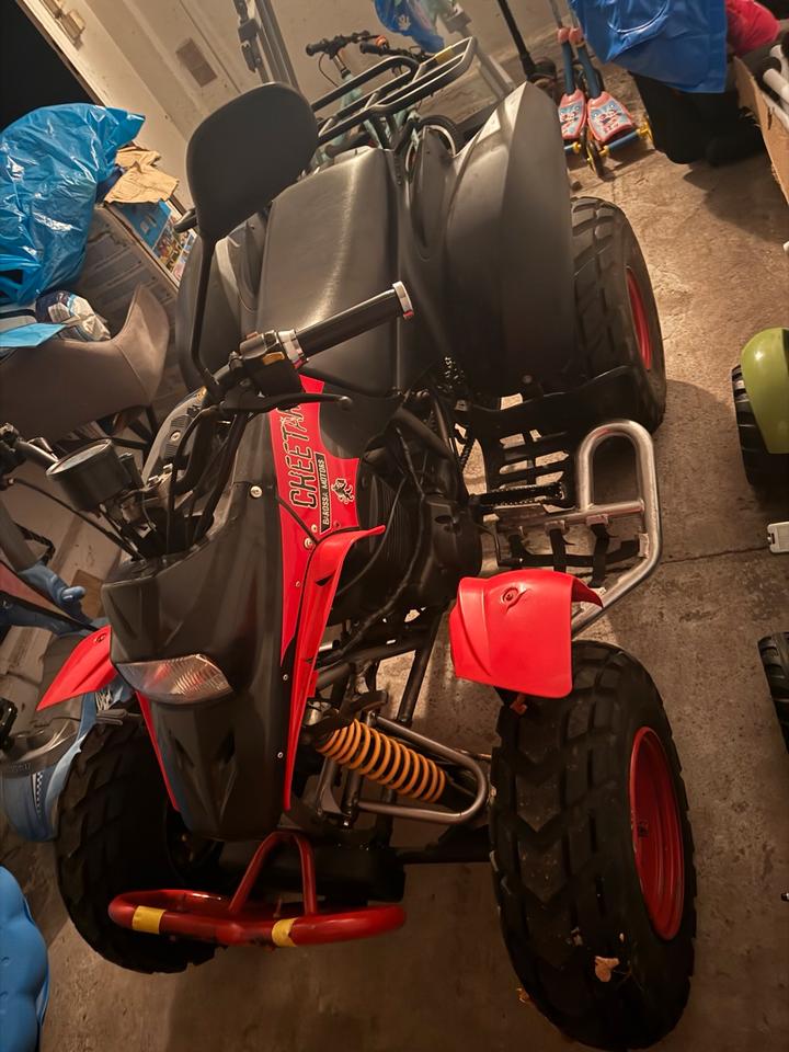 Weitere Motorräder Gelöscht • Quad barossa 250ccm 2006 — салон