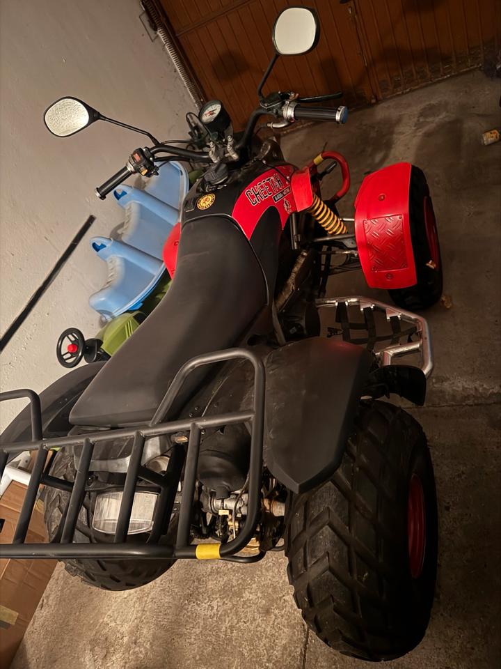 Weitere Motorräder Gelöscht • Quad barossa 250ccm 2006 — двигун 250 ccm