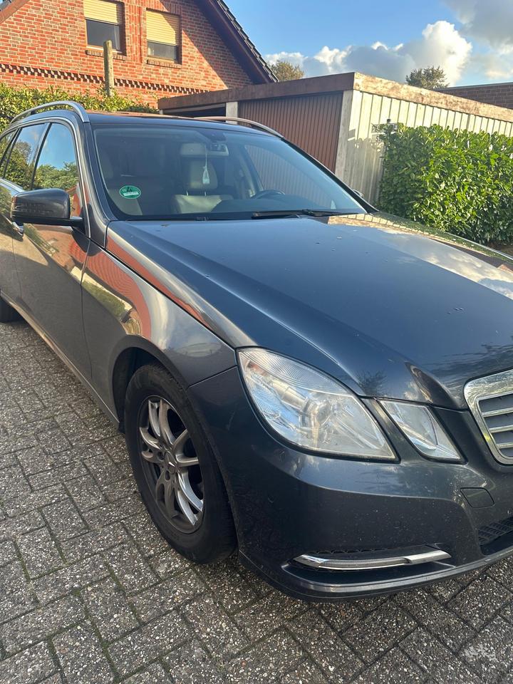 Mercedes Benz Weitere Mercedes Benz 2013 — rear view