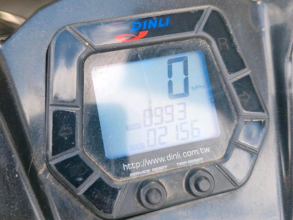 Weitere Motorräder Dinli 450 Quad 901 wenig Km 2015 — rear view