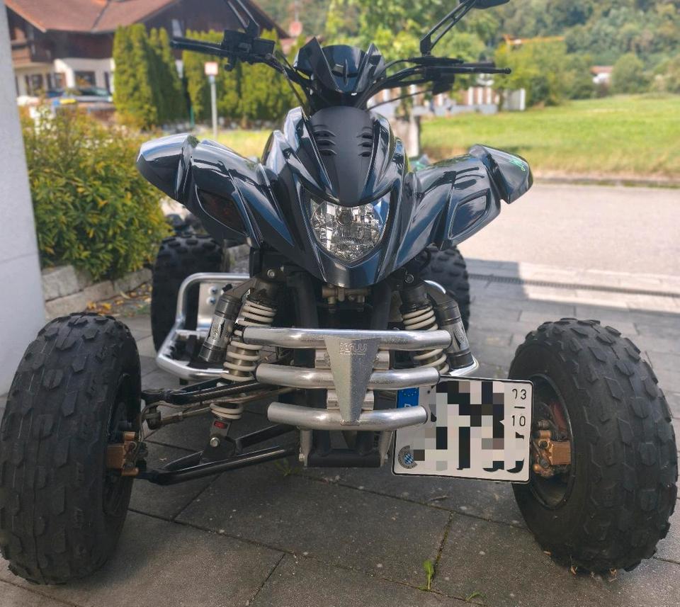 Weitere Motorräder Dinli 450 Quad 901 wenig Km 2015 — interior