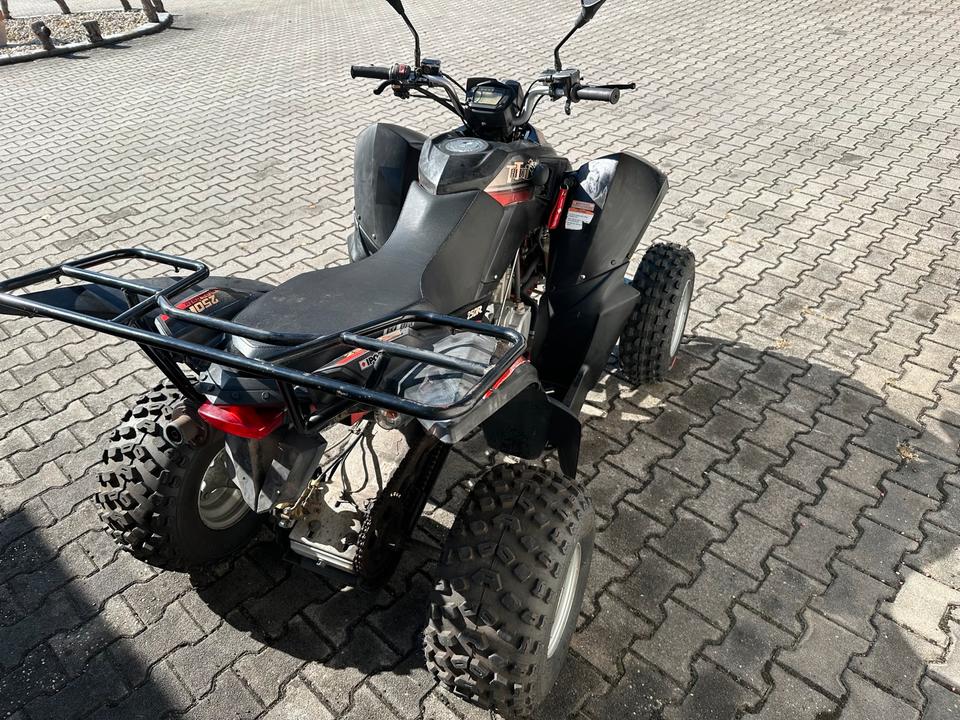 Weitere Motorräder Triton Baya 250 Access Motor Quad Atv 2011 — photo 5