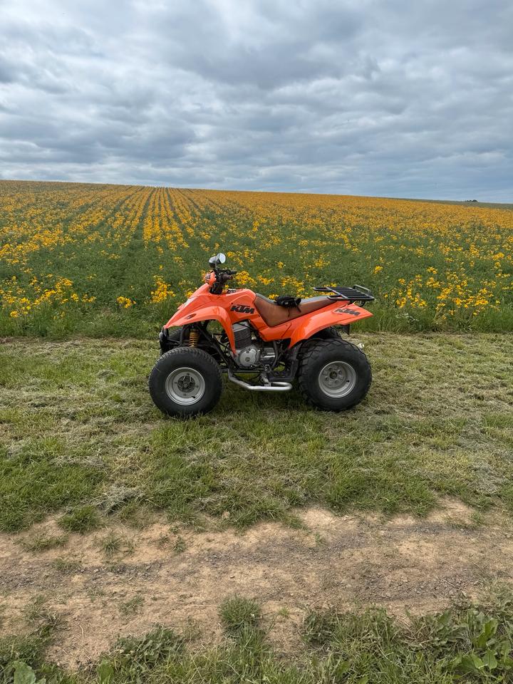 SMC 250ccm Quad