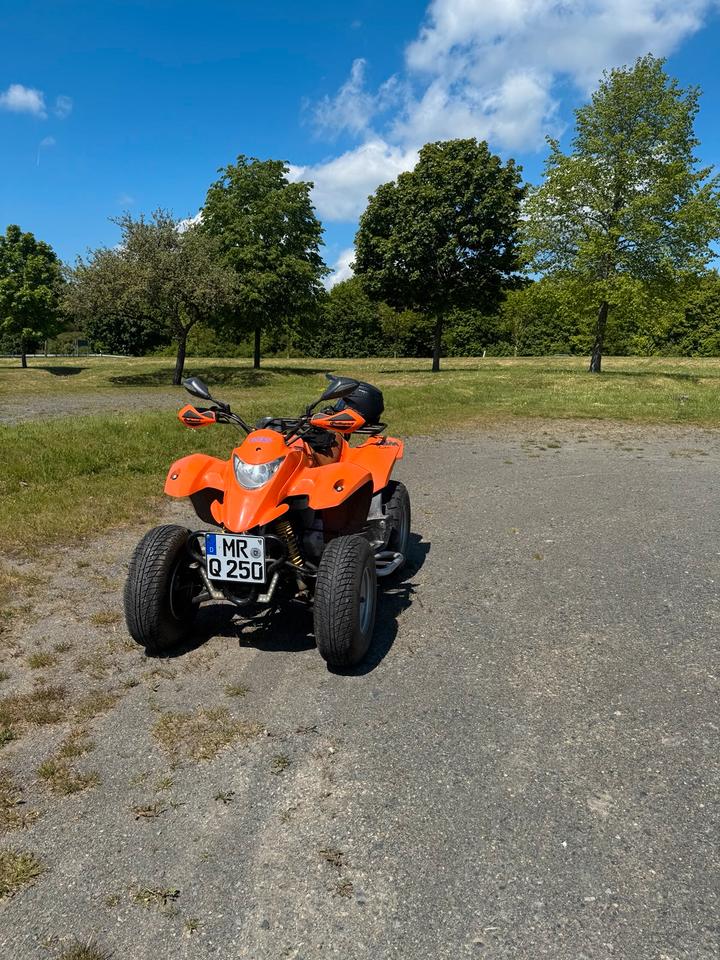  SMC 250ccm Quad 2005 — rear view