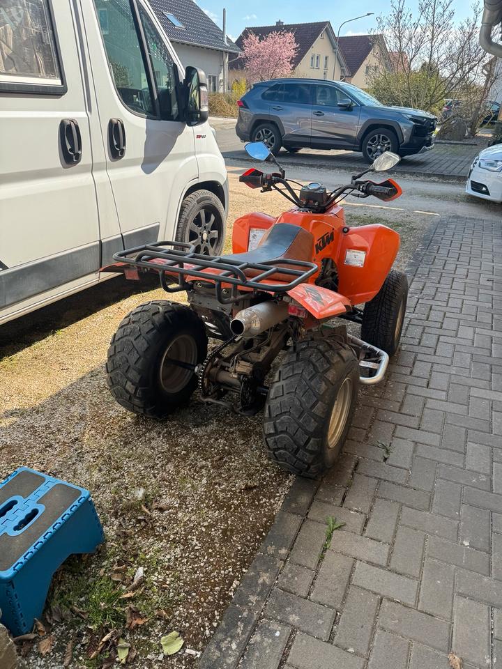  SMC 250ccm Quad 2005 — engine 250 ccm