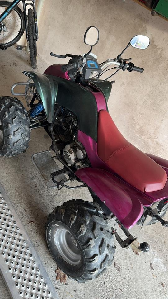 Weitere Motorräder Bashan Quad in Einzelteilen als Bastlerfahzeug, 2006