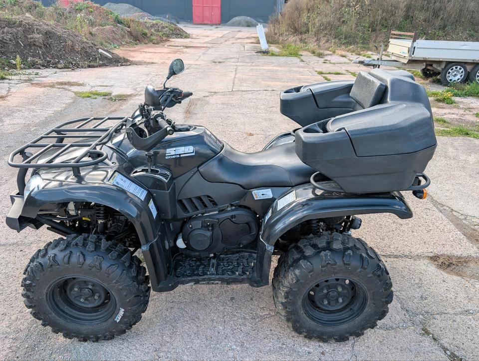 Weitere Motorräder Goes 520 Quad 2014 — вигляд ззаду