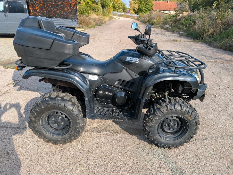 Weitere Motorräder Goes 520 Quad 2014 — салон