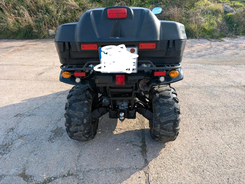 Weitere Motorräder Goes 520 Quad 2014 — двигун 493 ccm