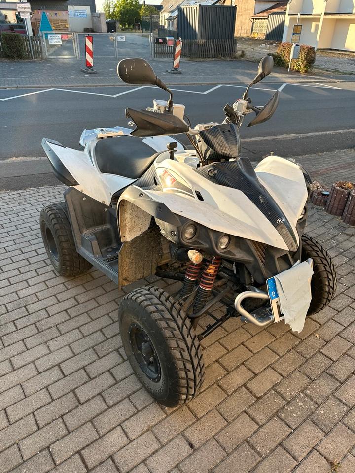 Weitere Motorräder Quad mit Lof Zulassung, 2010