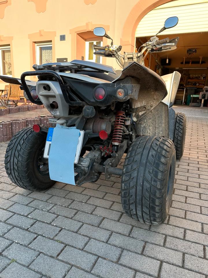 Weitere Motorräder Quad mit Lof Zulassung 2010 — interior