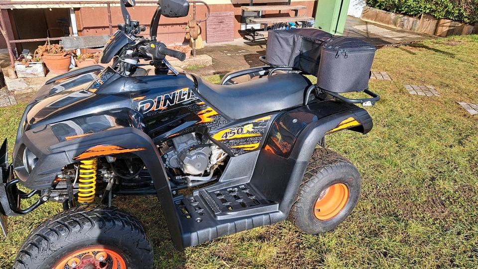 Weitere Motorräder Dinli 450cc Subaru motor 2012 — вигляд ззаду