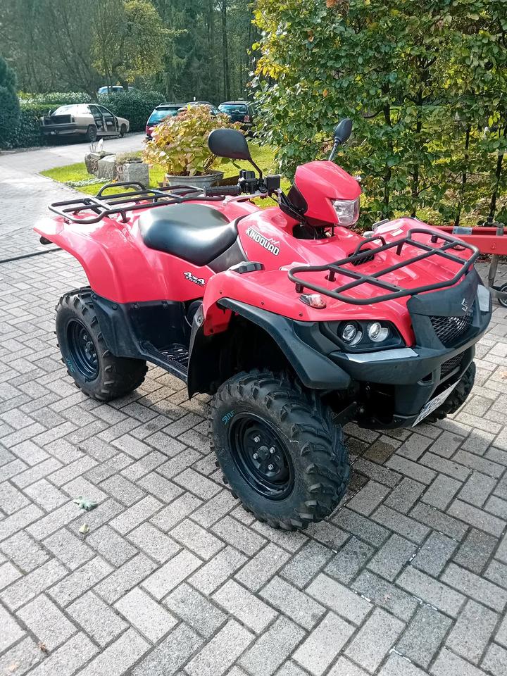 Suzuki LTA 750 King Quad ATV 2008 — rear view