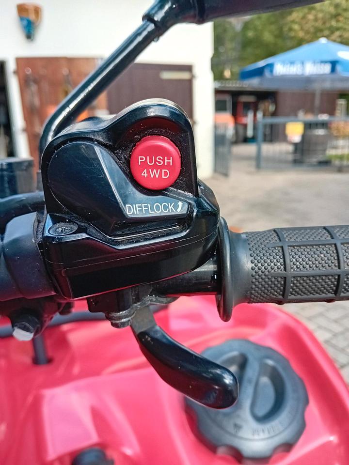 Suzuki LTA 750 King Quad ATV 2008 — photo 6