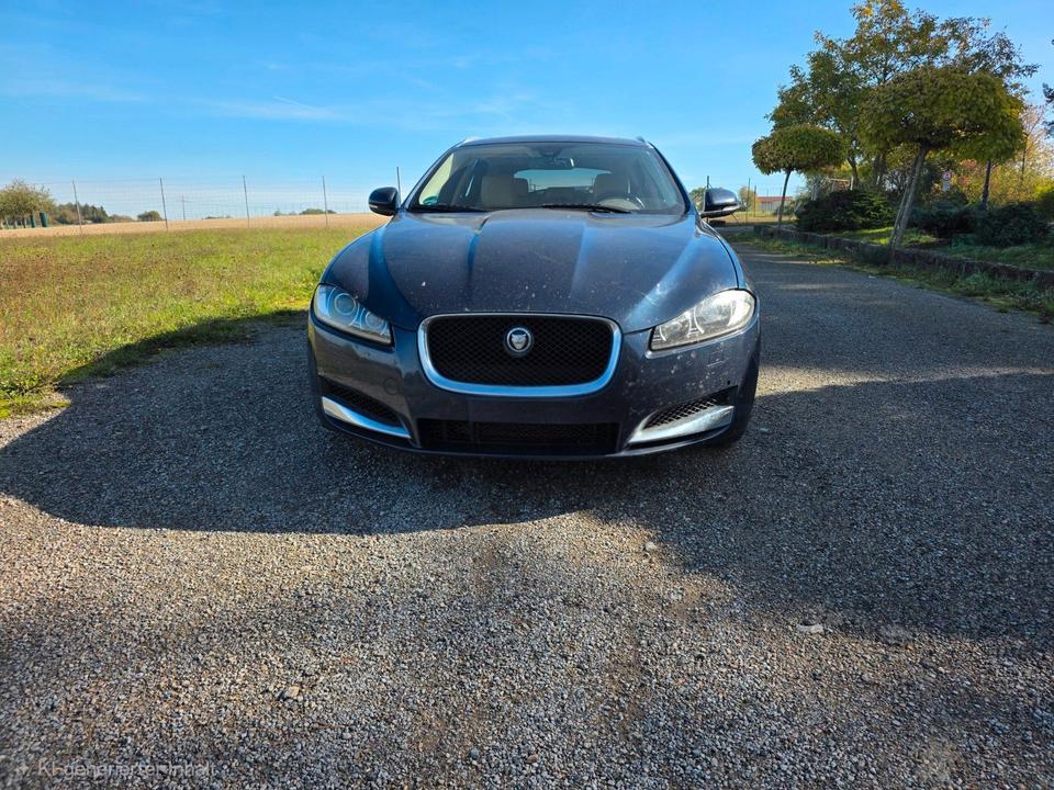 Jaguar XF 2013 — вигляд ззаду