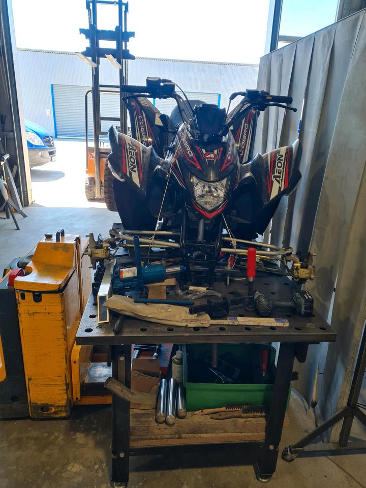  Aeon cobra 400 2014 — photo 7