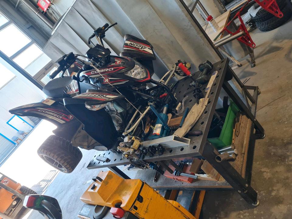  Aeon cobra 400 2014 — photo 8