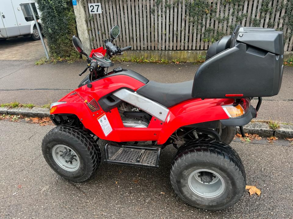  Sym Quad Lander 250 + einen 2 als Ersatzteilspender 2006 — rear view