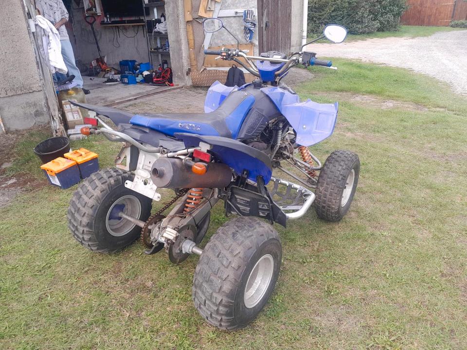 Weitere Motorräder Gelöscht • Verkauf Bashan Quad 300ccm 2011 — engine 300 ccm