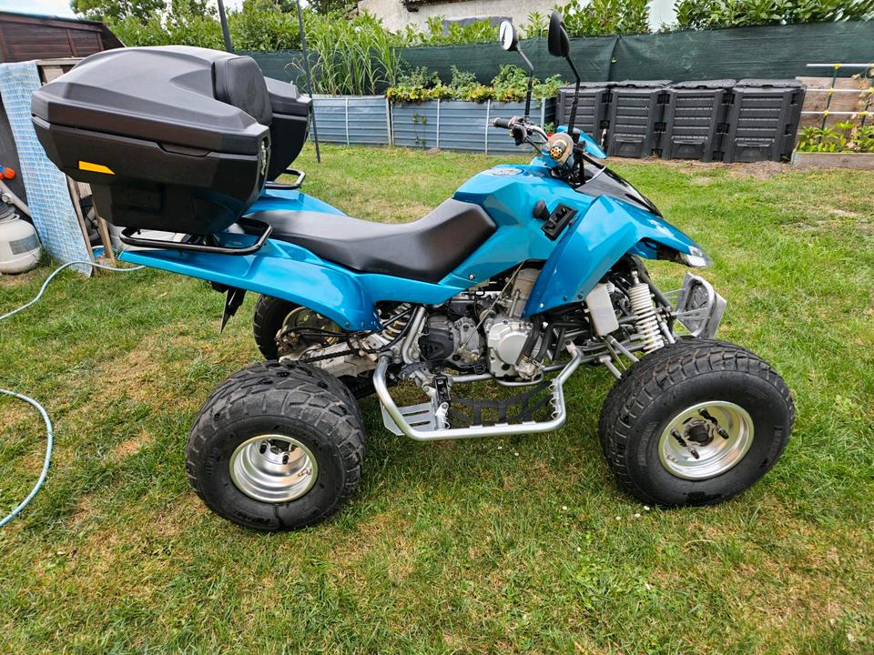 Weitere Motorräder Quad Access SP250-S,TÜV bis 05/2028 2008 — interior