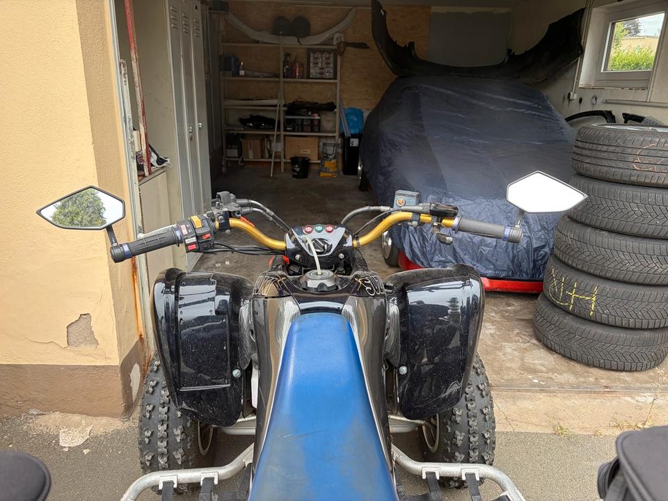 Suzuki LTZ 400 (Quad) 2006 — interior