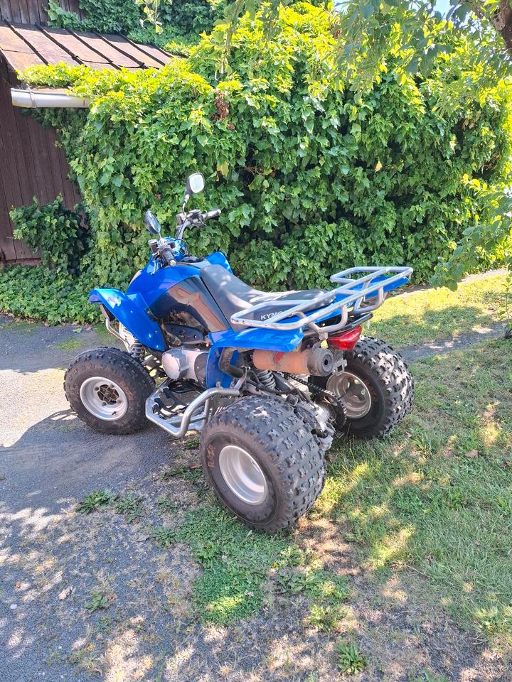 Kymco Verkaufe hier mein Quad kymco Maxxer 250ccm 2009 — rear view