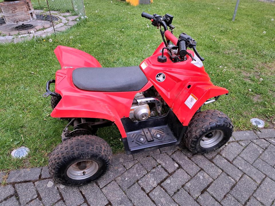  Quad Kinderquad 2009 — rear view