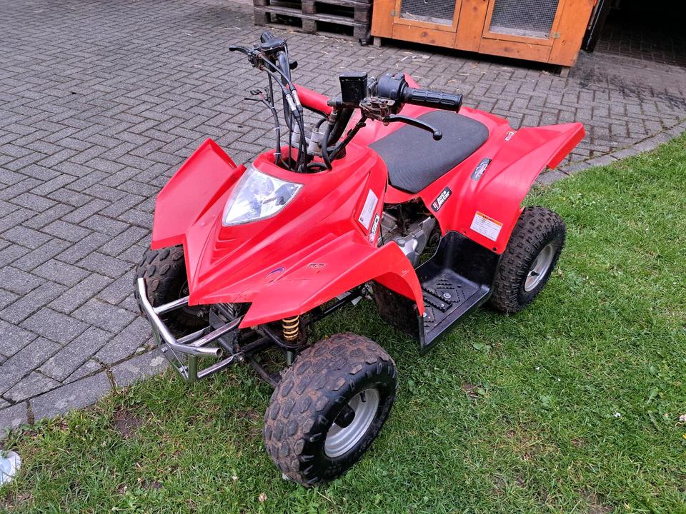  Quad Kinderquad 2009 — photo 5