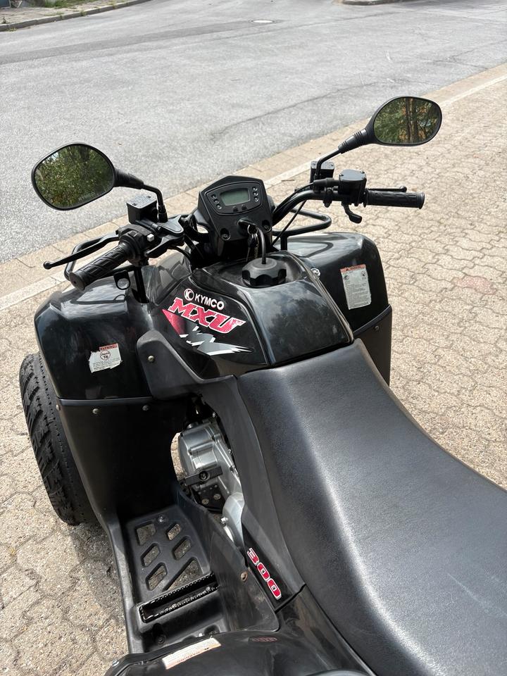 Kymco Gelöscht • Quad Kymco Mxu 300 2009 — двигун 300 ccm