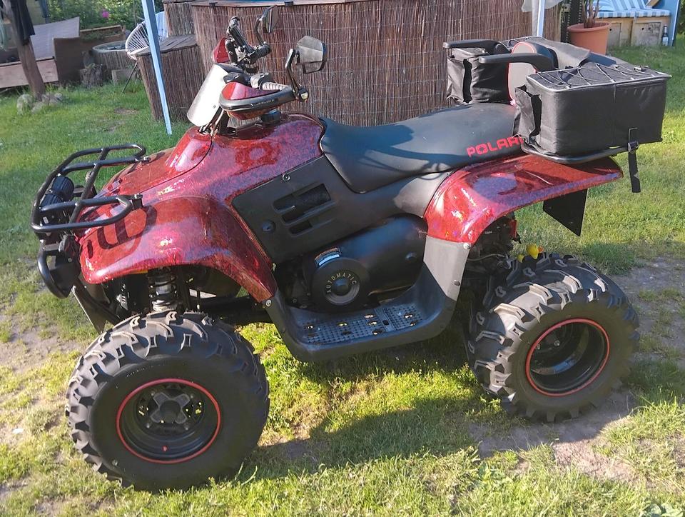 Weitere Motorräder Polaris Trail Boss 330 ATV 2008 — rear view