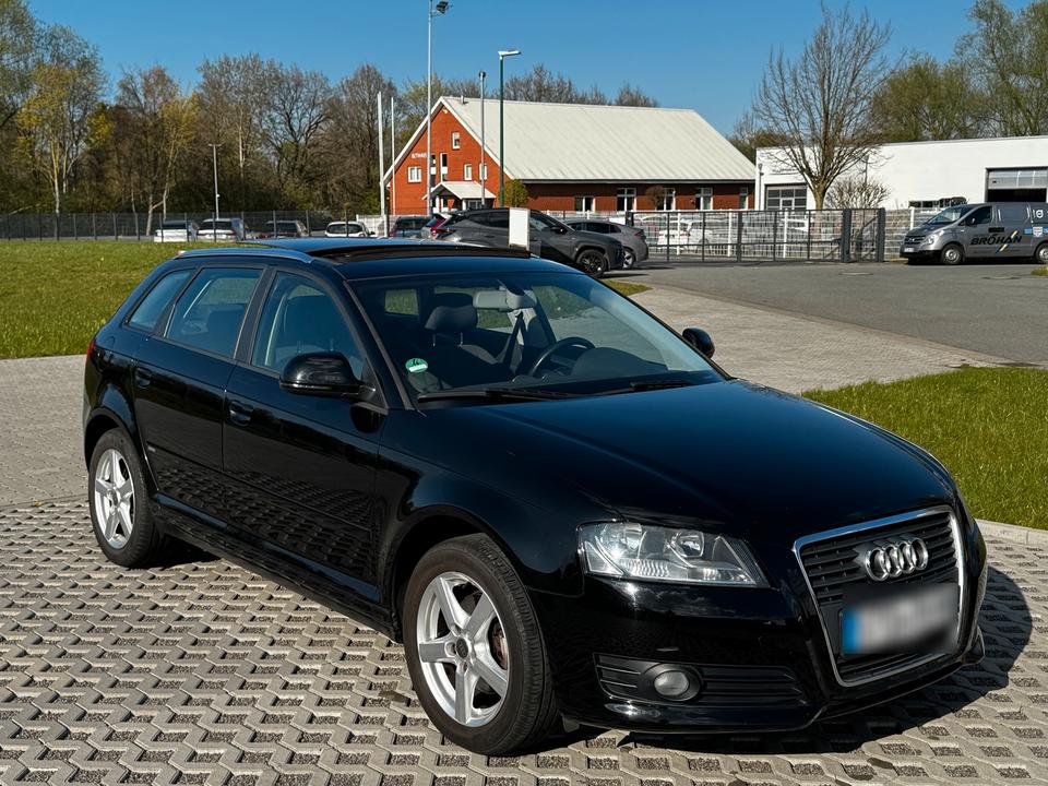 Audi A3 2008 — rear view