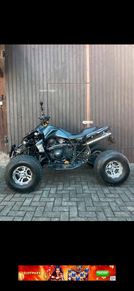  Quad 350ccm 2010 — rear view
