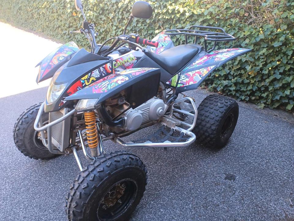  SMC Explorer Trasher 320 Quad Automatik 80km/h 2013 — rear view