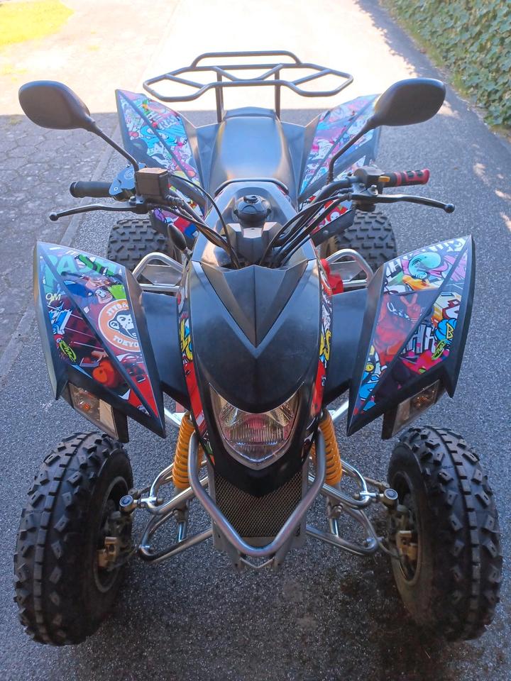  SMC Explorer Trasher 320 Quad Automatik 80km/h 2013 — photo 5