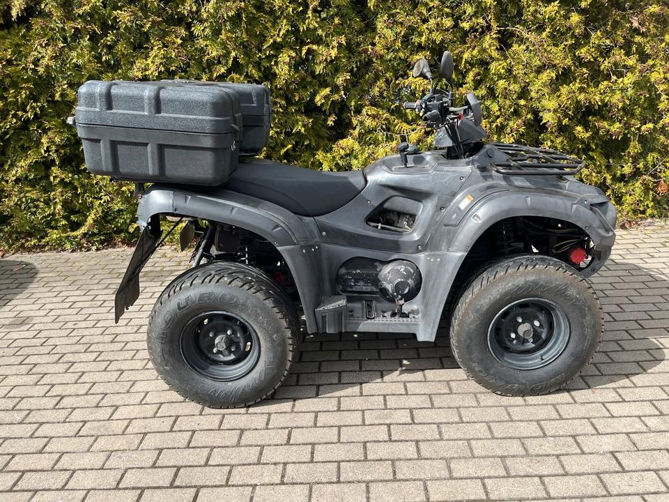 Weitere Motorräder TGB Blade 550 4x4 Winde Heizung 2015 — вигляд ззаду