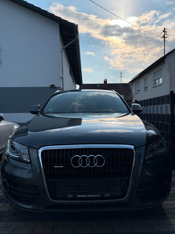 Audi Q5 2011 — вигляд ззаду